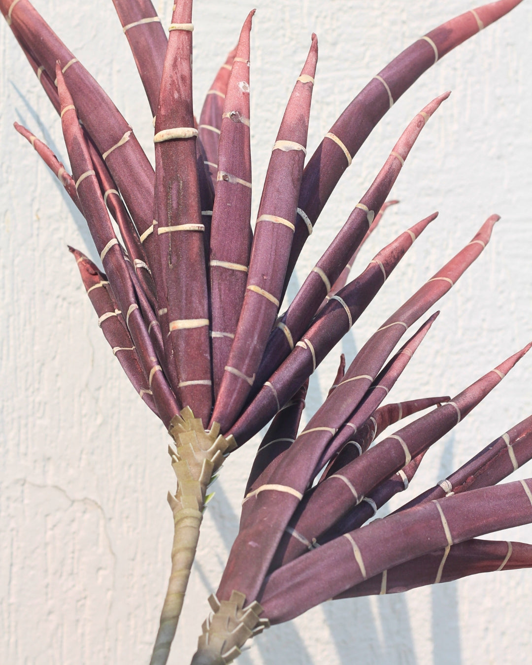Cactus Foam Flower Stick